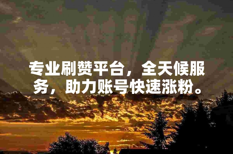 专业刷赞平台，全天候服务，助力账号快速涨粉。