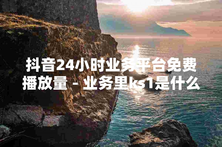 抖音24小时业务平台免费播放量 - 业务里ks1是什么意思,众人dy自助平台下单怎么退款。