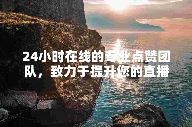 24小时在线的专业点赞团队，致力于提升您的直播人气。