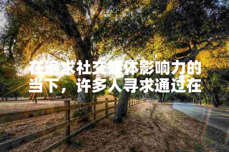 在追求社交媒体影响力的当下，许多人寻求通过在线服务快速增加抖音视频的播放量和快手的点赞数。
