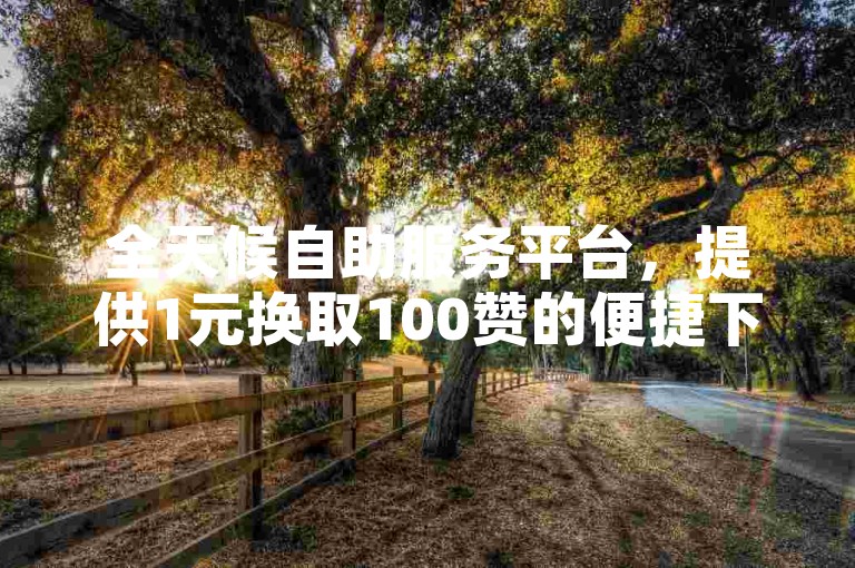 全天候自助服务平台，提供1元换取100赞的便捷下单体验。