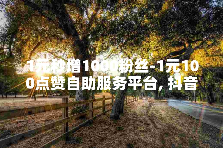 1元秒增1000粉丝-1元100点赞自助服务平台, 抖音推广全天候在线下单系统。