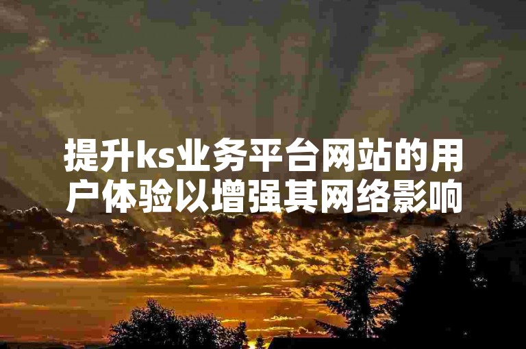 提升ks业务平台网站的用户体验以增强其网络影响力？