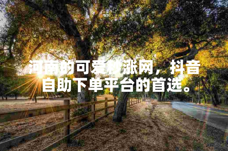 河南的可爱秒涨网，抖音自助下单平台的首选。