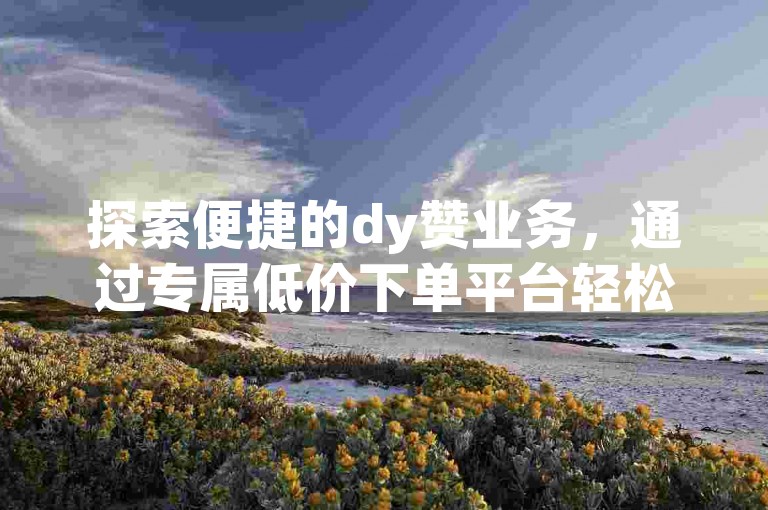 探索便捷的dy赞业务，通过专属低价下单平台轻松提升您的社交媒体影响力。