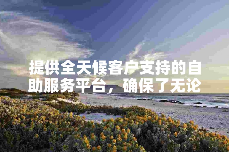 提供全天候客户支持的自助服务平台，确保了无论何时何地，用户都能享受到如拼多多砍价、快手业务办理以及QQ点赞等服务的便捷与高效。