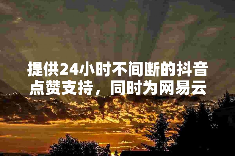 提供24小时不间断的抖音点赞支持，同时为网易云音乐爱好者提供粉丝增长服务。