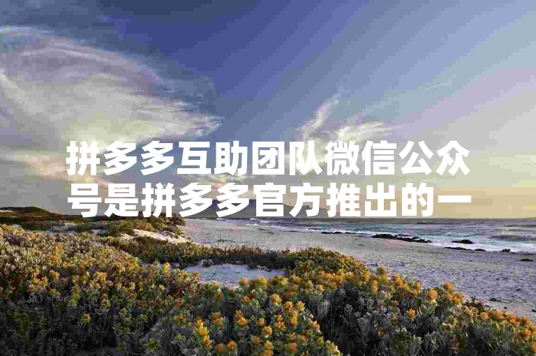 拼多多互助团队微信公众号是拼多多官方推出的一个平台，旨在帮助新人用户更好地了解和使用拼多多的购物服务。