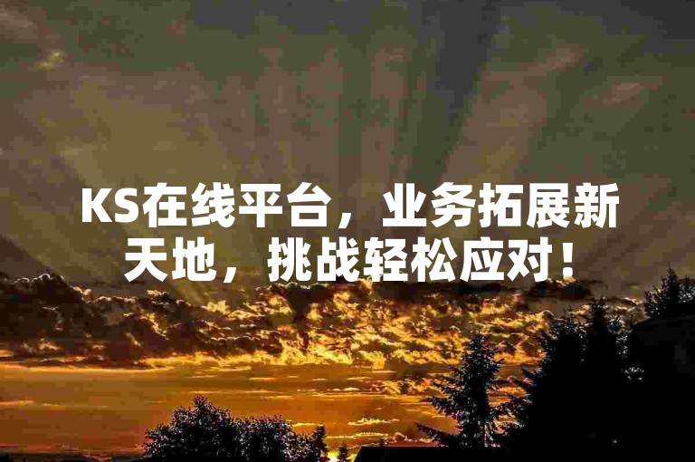 KS在线平台，业务拓展新天地，挑战轻松应对！