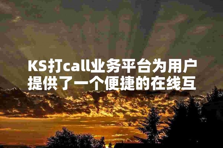 KS打call业务平台为用户提供了一个便捷的在线互动和娱乐体验。
