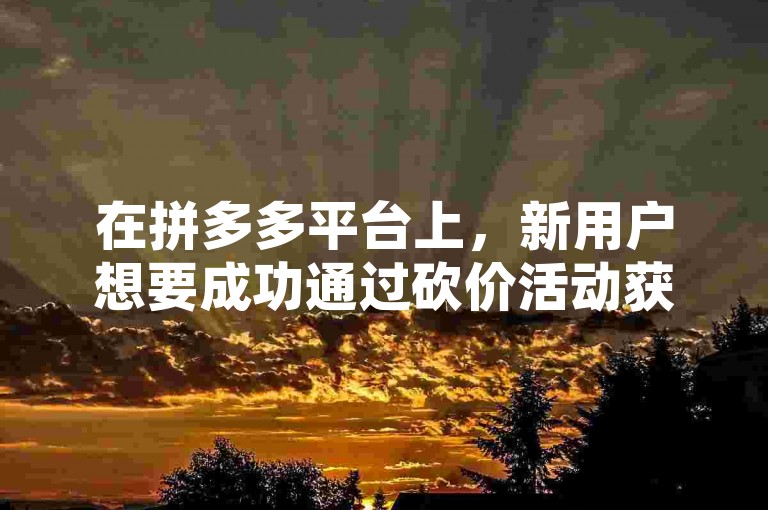 在拼多多平台上，新用户想要成功通过砍价活动获得免费商品，通常需要邀请多位好友帮忙砍价，并且每位好友砍掉的金额会逐渐减少，直至达到目标价格或时间限制。