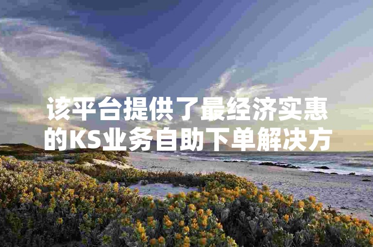 该平台提供了最经济实惠的KS业务自助下单解决方案(ks业务自助下单软件最低价软件)。
