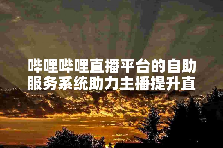 哔哩哔哩直播平台的自助服务系统助力主播提升直播间的观众互动与热度。