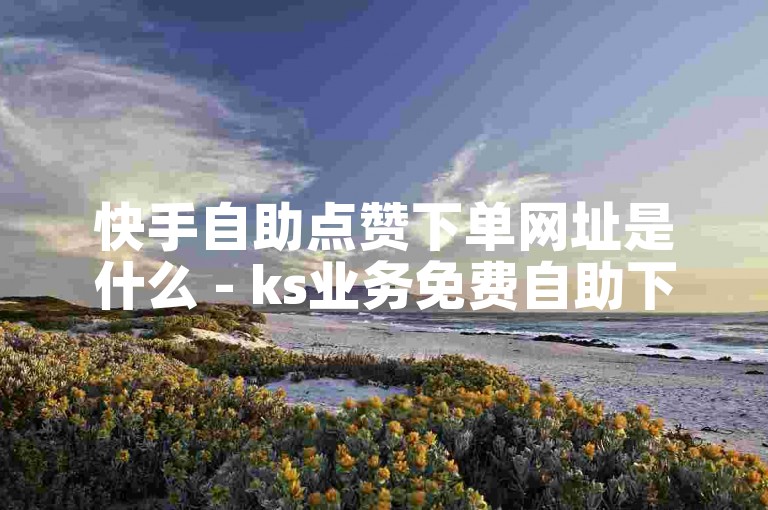 快手自助点赞下单网址是什么 - ks业务免费自助下单。
