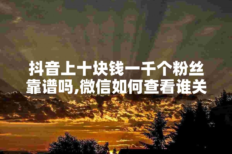 抖音上十块钱一千个粉丝靠谱吗,微信如何查看谁关注了我的公众号 - 网络推广秘籍 - 微信粉丝一块钱1000个惊喜上线!