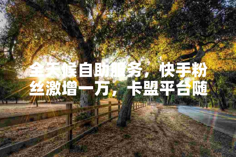 全天候自助服务，快手粉丝激增一万，卡盟平台随时待命。