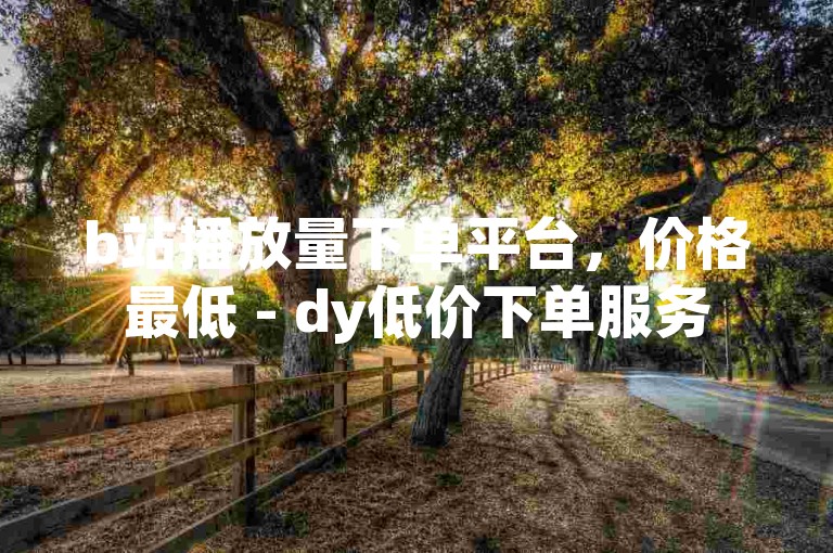 b站播放量下单平台，价格最低 - dy低价下单服务