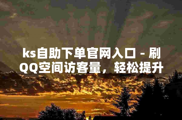 ks自助下单官网入口 - 刷QQ空间访客量，轻松提升社交影响力。