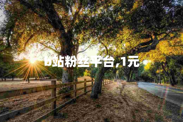 b站粉丝平台,1元500赞自助下单