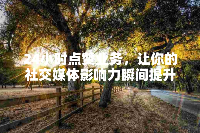 24小时点赞业务，让你的社交媒体影响力瞬间提升。