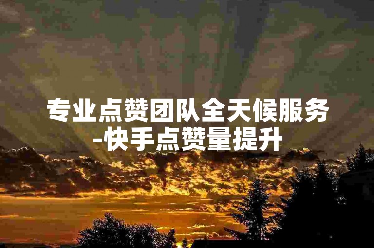 专业点赞团队全天候服务-快手点赞量提升
