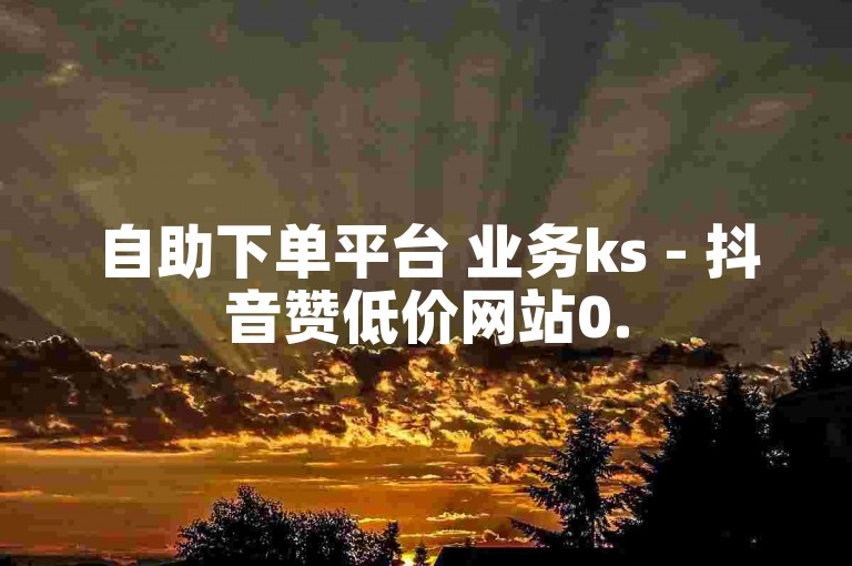 自助下单平台 业务ks - 抖音赞低价网站0.5元，提供快速、便捷的点赞服务。