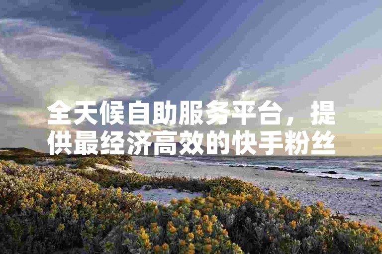 全天候自助服务平台，提供最经济高效的快手粉丝增长方案。
