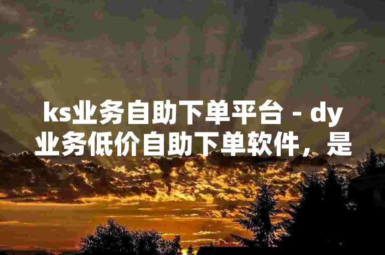 ks业务自助下单平台 - dy业务低价自助下单软件，是用户获取高效服务的理想选择。