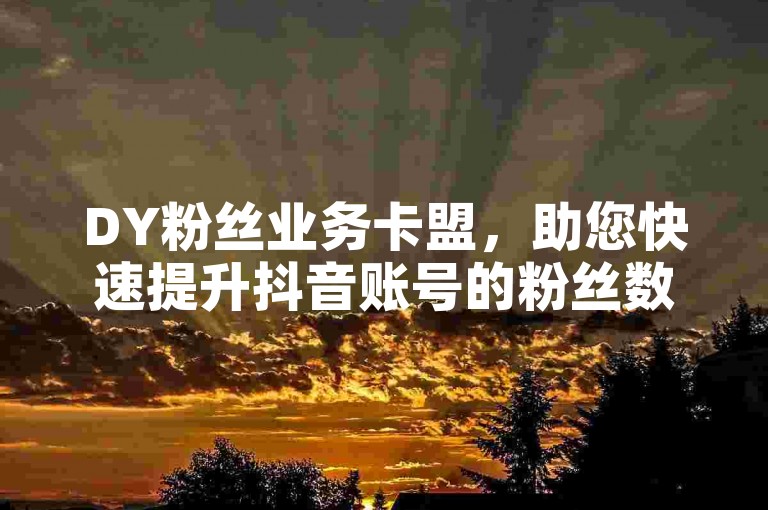 DY粉丝业务卡盟，助您快速提升抖音账号的粉丝数量，实现人气飙升。