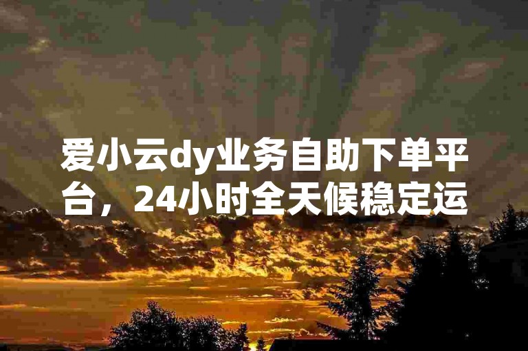爱小云dy业务自助下单平台，24小时全天候稳定运行，提供低价服务。
