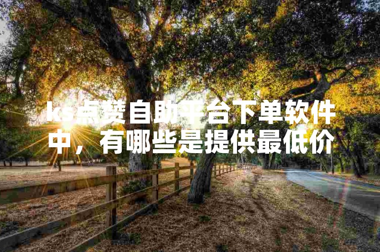 ks点赞自助平台下单软件中，有哪些是提供最低价涨赞服务的？
