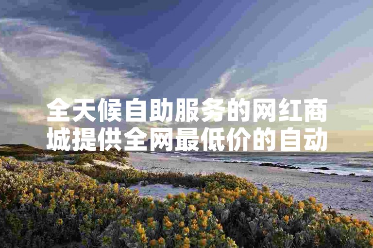 全天候自助服务的网红商城提供全网最低价的自动下单平台。