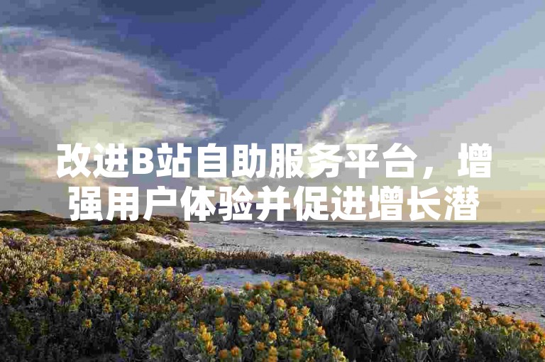 改进B站自助服务平台，增强用户体验并促进增长潜力。