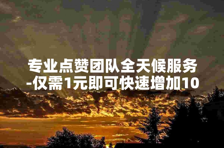 专业点赞团队全天候服务-仅需1元即可快速增加1000粉丝。