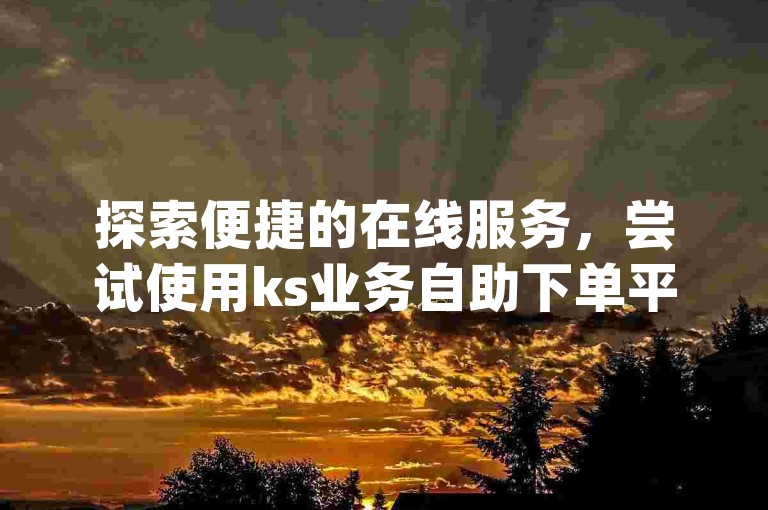 探索便捷的在线服务，尝试使用ks业务自助下单平台，享受dy自助下单带来的高效体验。