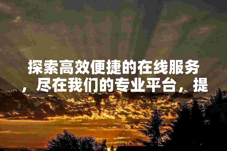 探索高效便捷的在线服务，尽在我们的专业平台，提供微信支付的便捷选项，确保您享受全网最具竞争力的价格。