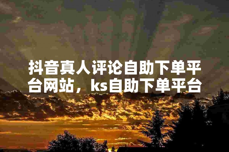 抖音真人评论自助下单平台网站，ks自助下单平台热评。
