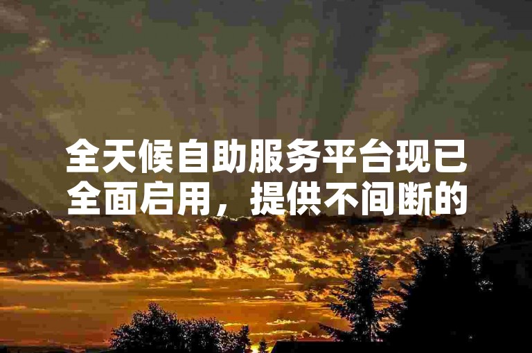 全天候自助服务平台现已全面启用，提供不间断的服务支持。