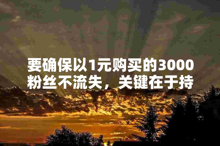 要确保以1元购买的3000粉丝不流失，关键在于持续提供有价值、引人入胜的内容，并积极与粉丝互动。