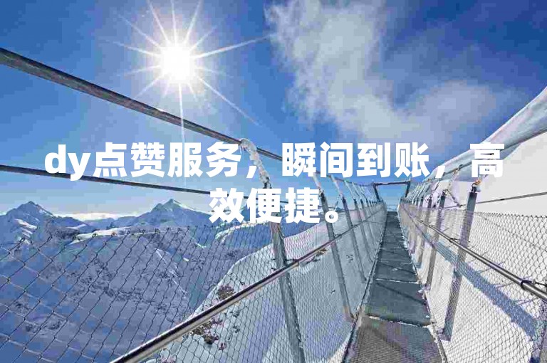 dy点赞服务，瞬间到账，高效便捷。