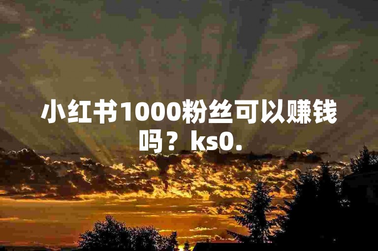 小红书1000粉丝可以赚钱吗？ks0.5元涨赞。