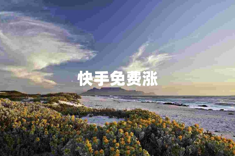 快手免费涨5000粉丝-专业点赞团队全天候服务