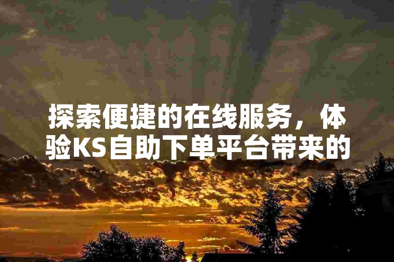 探索便捷的在线服务，体验KS自助下单平台带来的王者人气值飙升快感。