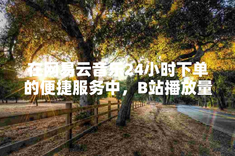 在网易云音乐24小时下单的便捷服务中，B站播放量自助平台提供了一站式的解决方案。