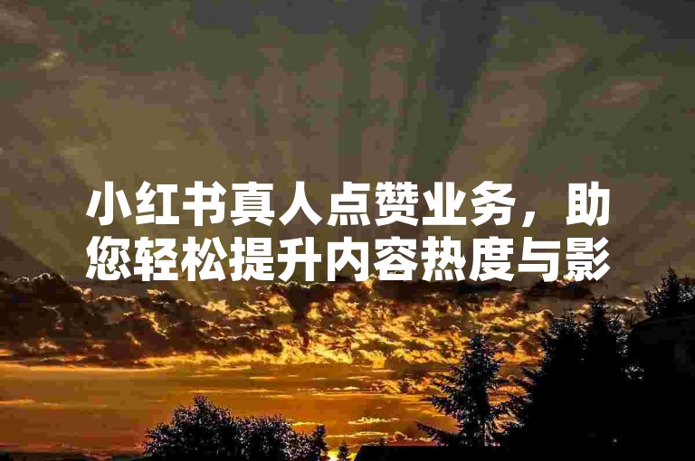 小红书真人点赞业务，助您轻松提升内容热度与影响力。