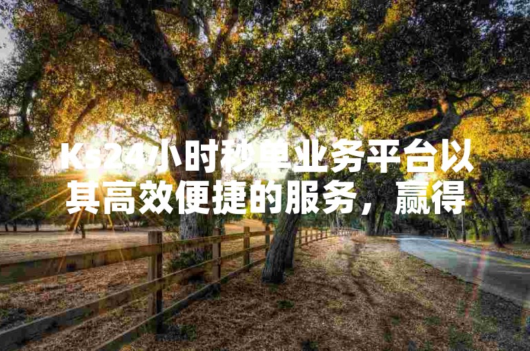 Ks24小时秒单业务平台以其高效便捷的服务，赢得了众多用户的信赖和好评。