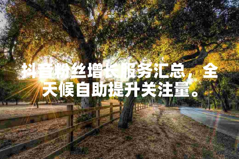 抖音粉丝增长服务汇总，全天候自助提升关注量。
