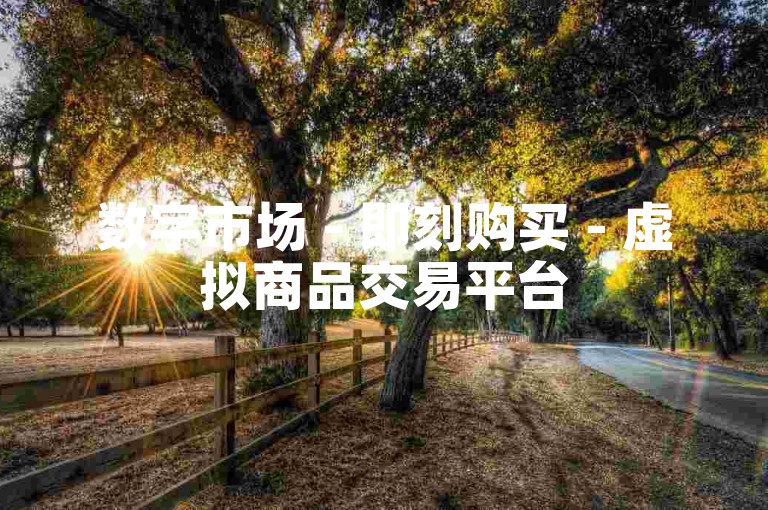 数字市场 - 即刻购买 - 虚拟商品交易平台