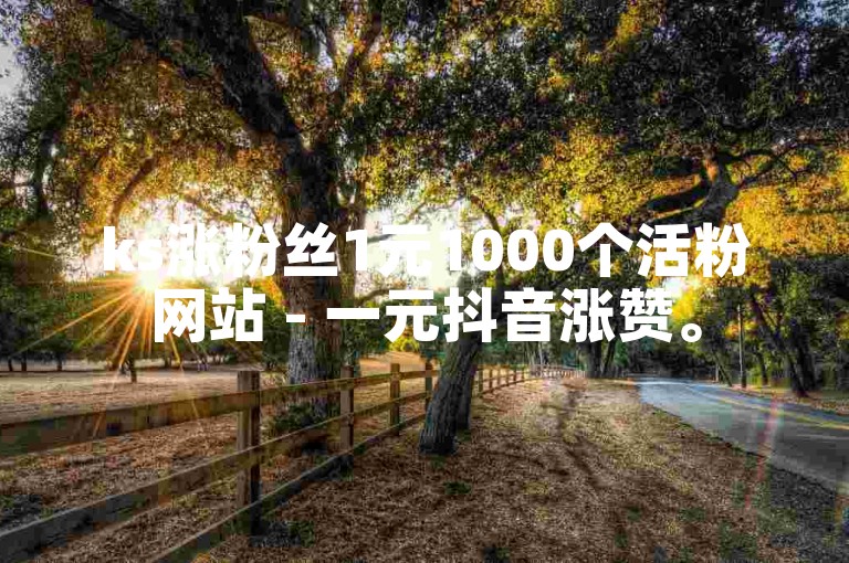 ks涨粉丝1元1000个活粉网站 - 一元抖音涨赞。