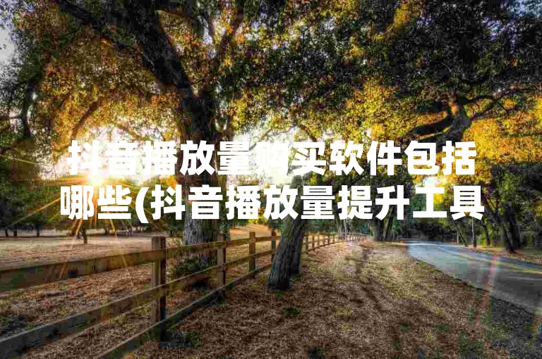 抖音播放量购买软件包括哪些(抖音播放量提升工具推荐有哪些)
